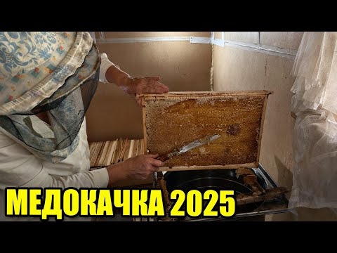 Видео: Откачка мёда на пасеке. Медокачка 2025
