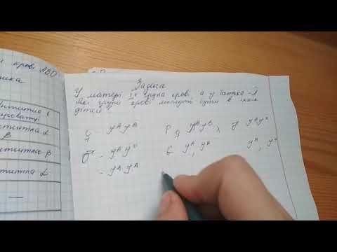 Видео: Розв'язування задач на групи крові