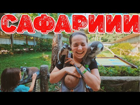 Видео: ГУШКАМЕ ЖИРАФИ И ЛЕМУРИ ВЪВ ВИЕТНАМ