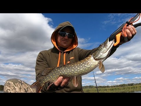 Видео: Разведка щучьих точек + НАЛУПИЛ ОКУНЯ