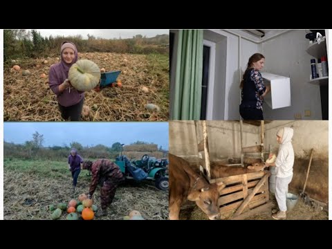 Видео: ТАКИЕ НОВОСТИ САМА НЕ ОЖИДАЛА...