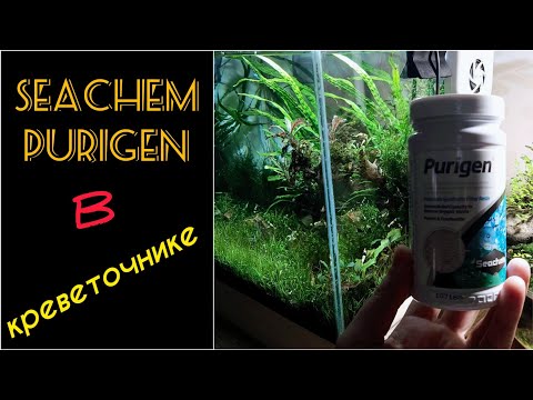 Видео: Опыт использования Seachem Purigen в креветочнике