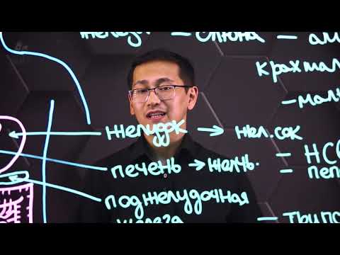 Видео: Процесс пищеварения и роль ферментов в нем. 9 класс.