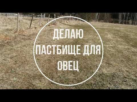 Видео: / Пастбище для овец / Ограждение на пастбище /