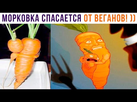 Видео: МОРКОВКА СПАСАЕТСЯ ОТ ВЕГАНОВ! АААА! ))) Приколы | Мемозг 1089