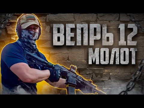 Видео: Обзор на ВЕПРЬ 12 | Устранение проблем и опыт владения