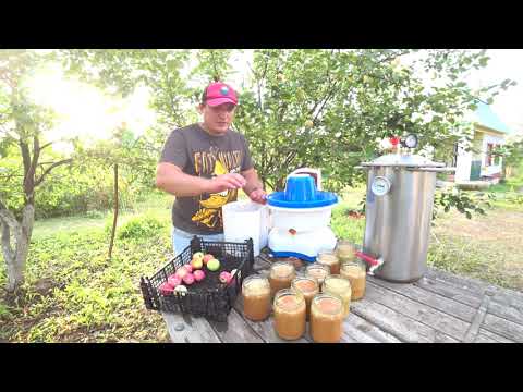 Видео: Яблочный сок в автоклаве.