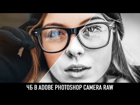 Видео: Чб в adobe photoshop camera raw