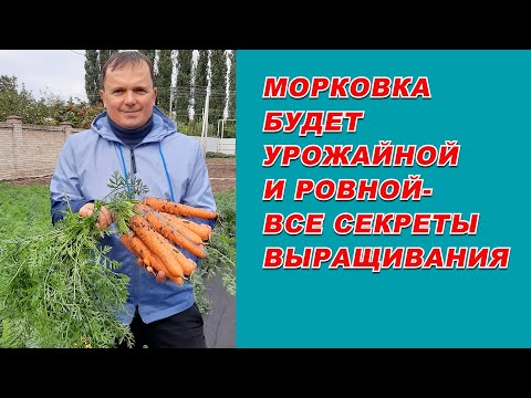 Видео: Выращивание урожайной морковки от "А" до "Я"- самые полезные советы.