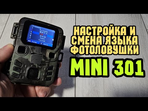 Видео: Смена языка и настройка фотоловушки MINI 301