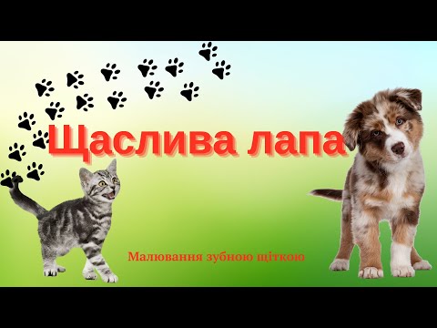 Видео: Щаслива лапа.