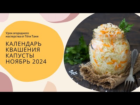 Видео: Календарь КВАШЕНИЯ капусты. Ноябрь 2024 г.