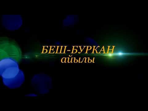 Видео: 15 декабря 2018 г.