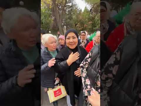 Видео: 10 ноября 2025 г.