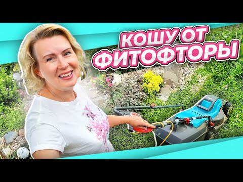 Видео: ИДЕМ В ТЕПЛИЦУ | КАК НЕ ДОПУСТИТЬ ФИТОФТОРУ | ПОКОСИТЬ РАВНО СПАСТИ ПРОФИЛАКТИКА ФИТОФТОРЫ МОЙ ОПЫТ