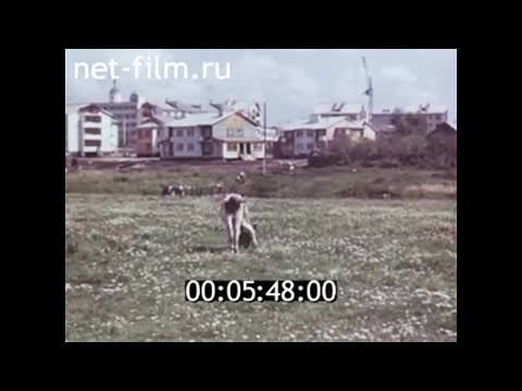 Видео: 1979г. колхоз имени Ленина. село Спасское Новомосковский район  Тульская область