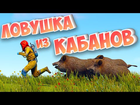 Видео: САМЫЙ БЫСТРЫЙ СТАРТ за 6000 ЧАСОВ! ЛОВУШКА ИЗ КАБАНОВ в РАСТ/RUST