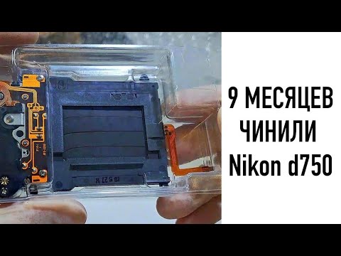 Видео: заменить затвор на nikon d750