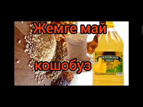 Видео: Жемге май же суу кошуп бериңиз!