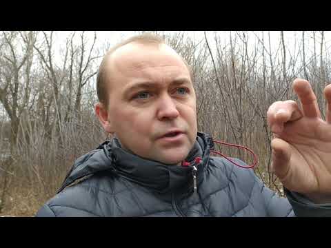 Видео: Зимовка. часть 1 . Вентиляция и ее последствия