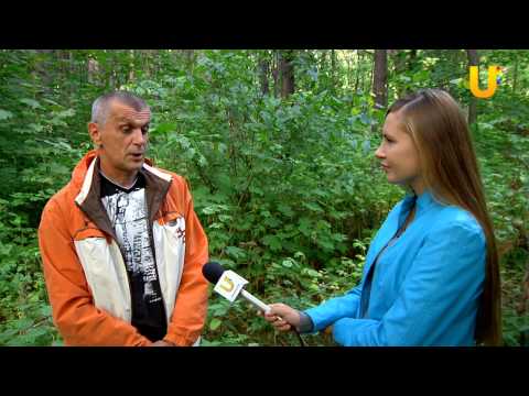 Видео: Глазами животных, выпуск 92. Бультерьеры.