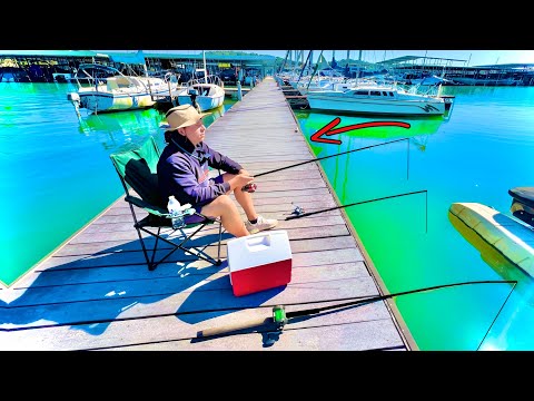 Видео: Рыбачу на обед в доке… А ПОТОМ СЛУЧИЛОСЬ ЭТО!!!! (Поймай и приготовь)