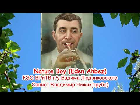 Видео: Nature Boy (E.Ahbez) Владимир Чижик, труба, оркестр В.Людвиковского