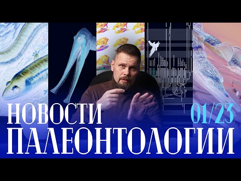 Видео: Тирекс умён как бабуин | Птерозавр-фильтратор | Лапки синапсид | Пчёлы обманули палеонтологов