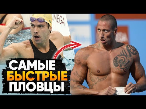 Видео: 3 САМЫХ БЫСТРЫХ ПЛОВЦА В МИРЕ