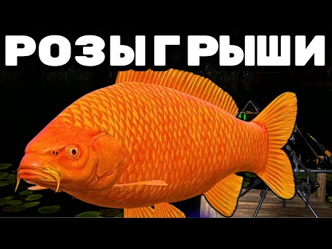 Видео: МЕДНОЕ РАЗДАЁТ ?💥НЕПРОПУСТИ РОЗЫГРЫШИ💥КАТУШКИ ЗОЛОТО ПРЕМЫ 🔴 РУЛЕТКИ КАЖДЫЕ 20 Минут 🎁 #СТРИМ #РР4