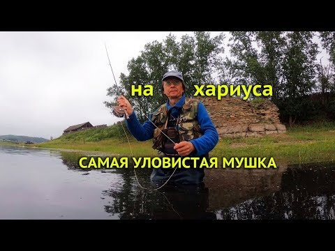 Видео: Самая уловистая мушка, 21 год ловит хариуса