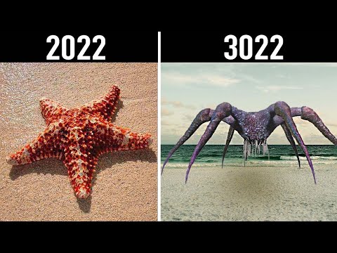 Видео: Посмотрите, Как Животные Будут Выглядеть Через 1000 Лет