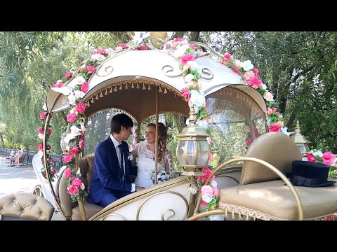 Видео: На лошадке в загс, торжественная церемония регистрации брака