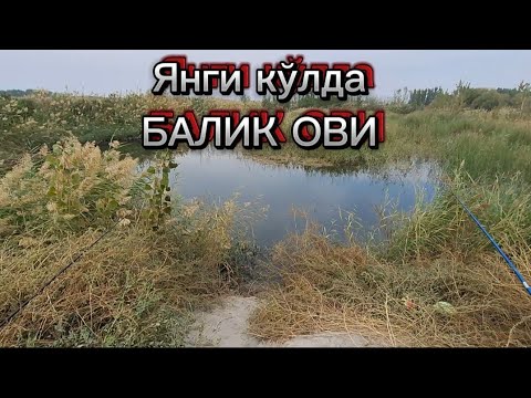 Видео: Янги очилган кўлда баликчилар билан кўришдик
