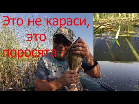 Видео: ЛОВЛЯ ОГРОМНЫХ КАРАСЕЙ НА МОРМЫШКУ ЛЕТОМ В КАМЫШАХ С ЛОДКИ