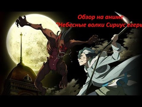 Видео: Обзор на аниме "Небесные волки Сириус егерь"