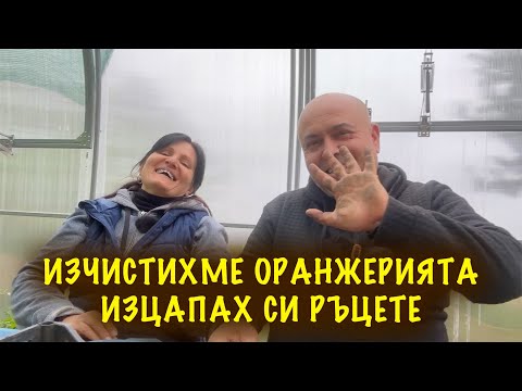 Видео: Мръсни ръце - работливи ръце! Подготвяме си оранжерията за есенните насаждения.