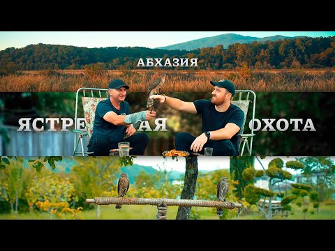 Видео: Абхазия | Ястребиная Охота