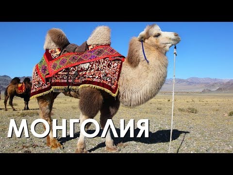 Видео: МОНГОЛИЯ - ВЕЛИКАЯ СТЕПЬ!