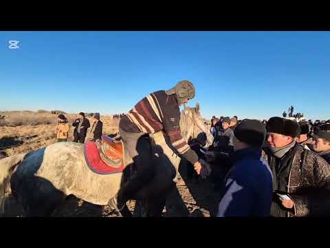 Видео: Тахтакопир кокпар  08.01.2025