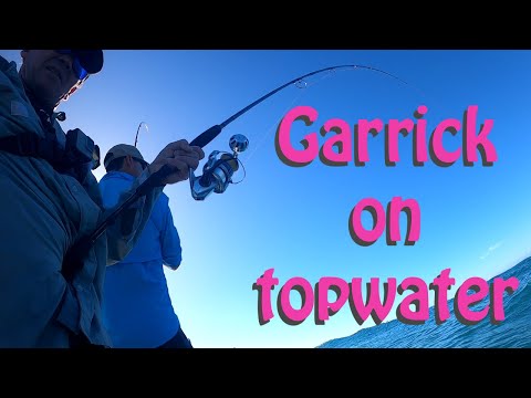 Видео: Поверхностный Гаррик. Ловля этих прохладноводных пелагических рыб в поверхностных водах — обязате...