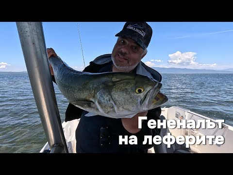 Видео: Генералът на ЛЕФЕРИТЕ