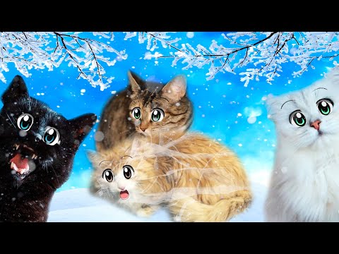 Видео: Кошечка ВАСИЛИСА Спасла Двух ГОЛОДНЫХ Кошек.
