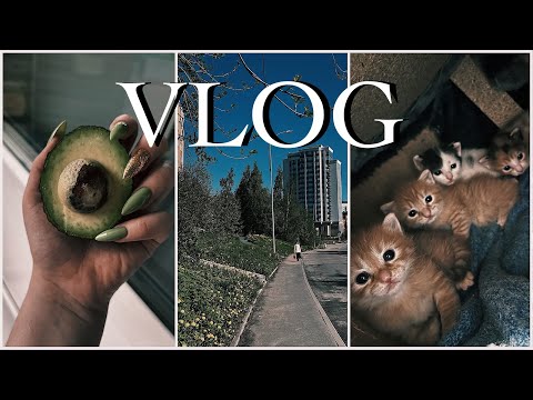 Видео: VLOG | Много природы и посылок