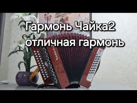 Видео: Гармонь Чайка2. Отличная гармошка.