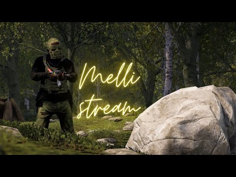 Видео: Играем с новичками в РАСТ/RUST #shorts