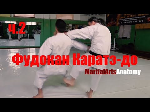 Видео: [Анализ] Фудокан - качество Йорги, трещины кости и секрет цифры 666 ч.2