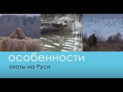 Видео: Весенняя охота в Белоруссии (Особенности охоты на Руси) - Беляков Хантинг