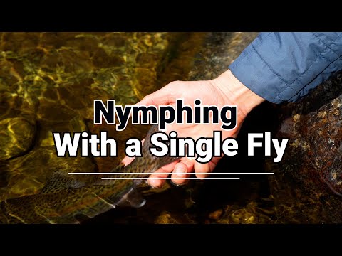 Видео: Ловля нимфы в небольших водоемах с помощью одной мушки.