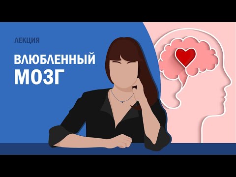 Видео: Влюбленный мозг / Полина Кривых
